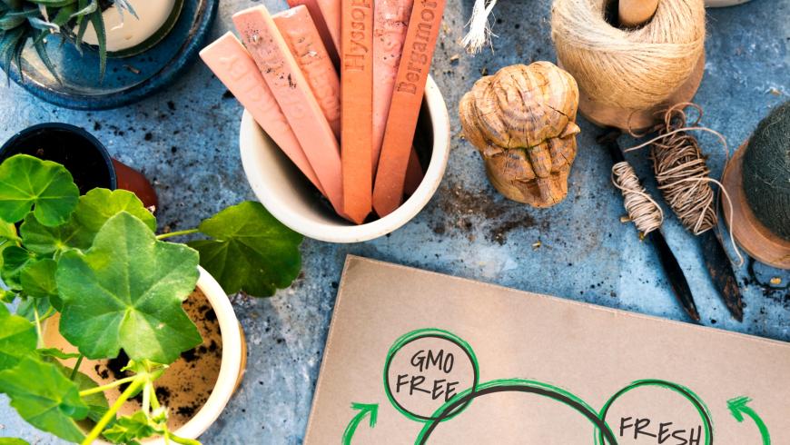 La salute è anche una questione di oligoelementi