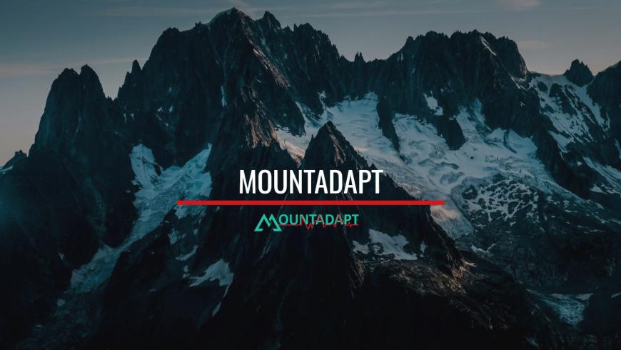 Mountadapt